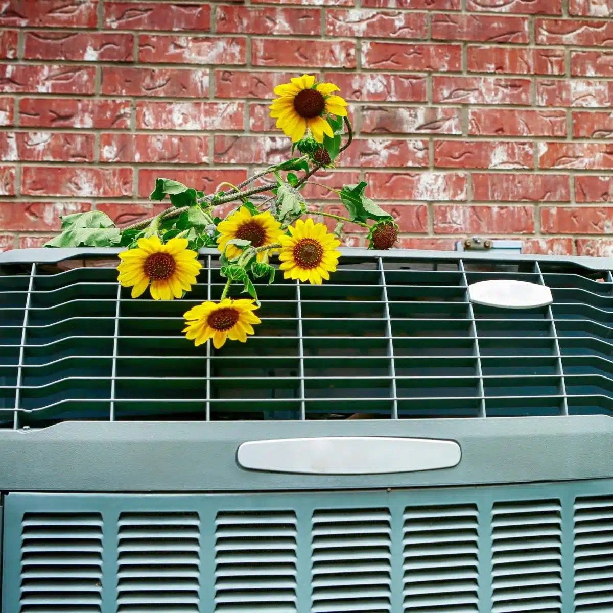 Heat pump with yellow flowers on top